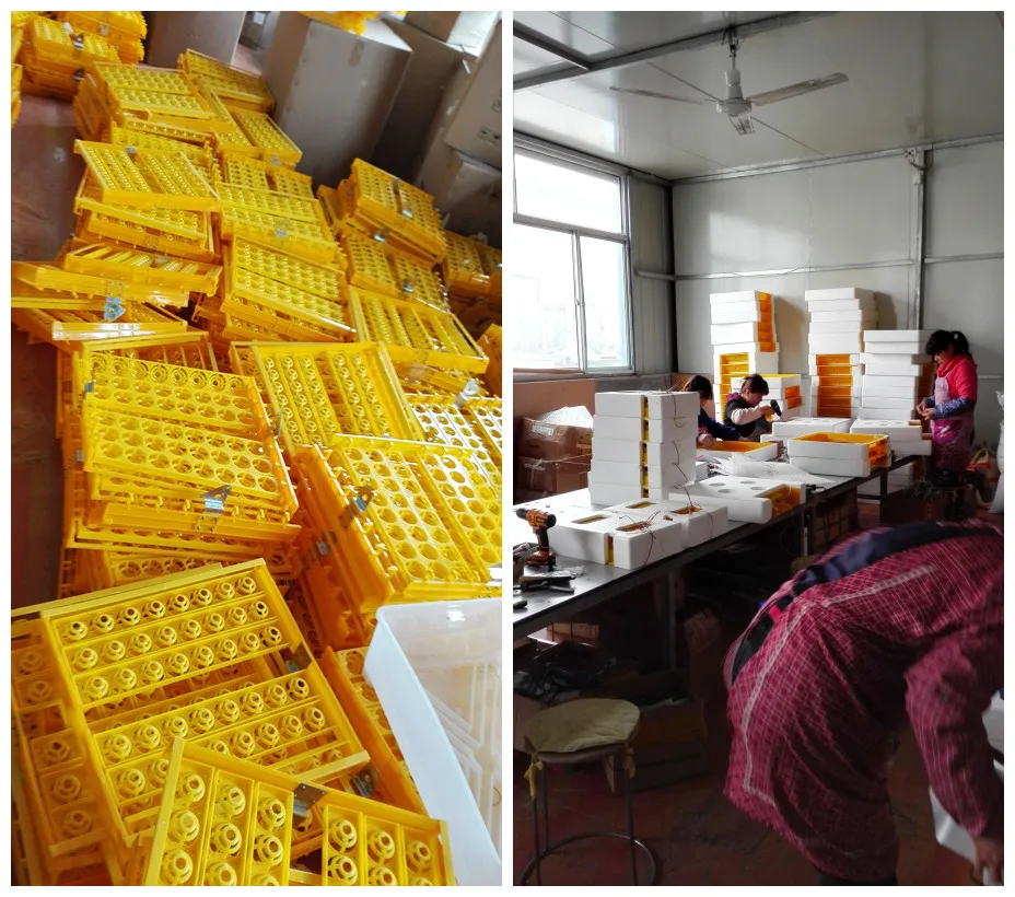 Недорогой инкубатор для куриных яиц, инкубатор для 56 яиц, мини-инкубатор