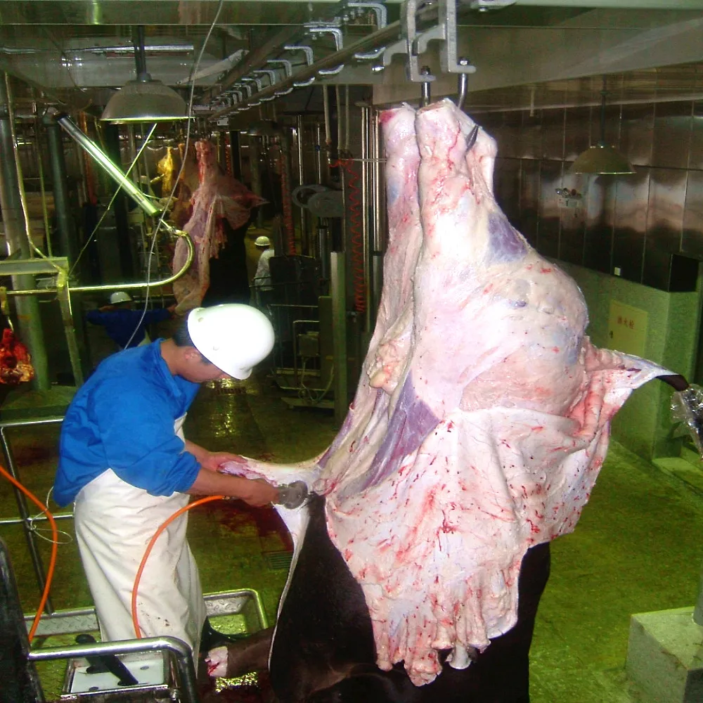 Cow Abattoir Machine Halal Slaughter Equipment Cattle Butcher Line for Meat Beef Production Processing