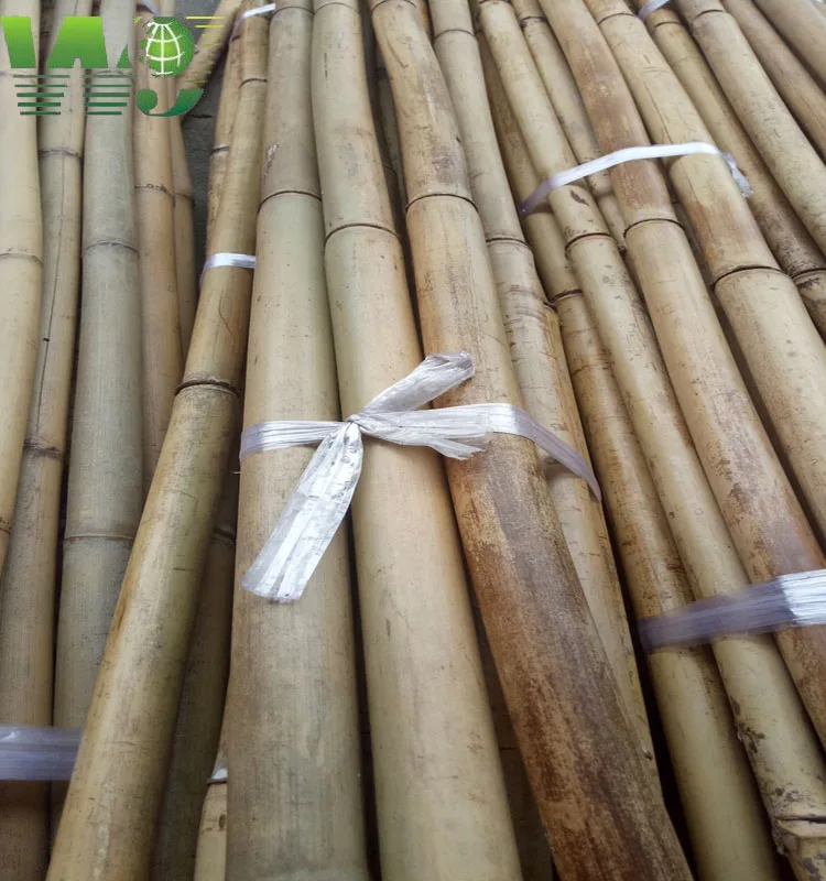 WY T-001 Natural Tonkin bamboo cane