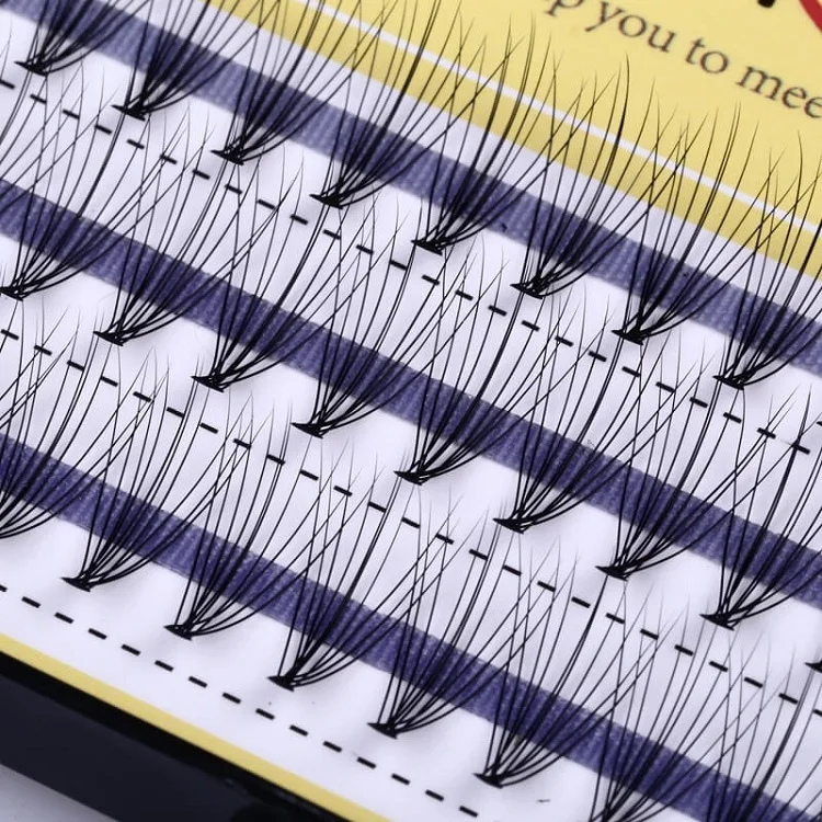 
Premium Premade 10D 0.1mm Russian Lash Extensions Flare Cluster Volume Eyelash Extension 