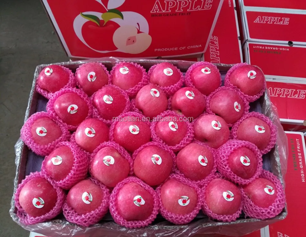 
Common Cultivation Type and Pome Fruit Product Type fresh apple fruit for sale 