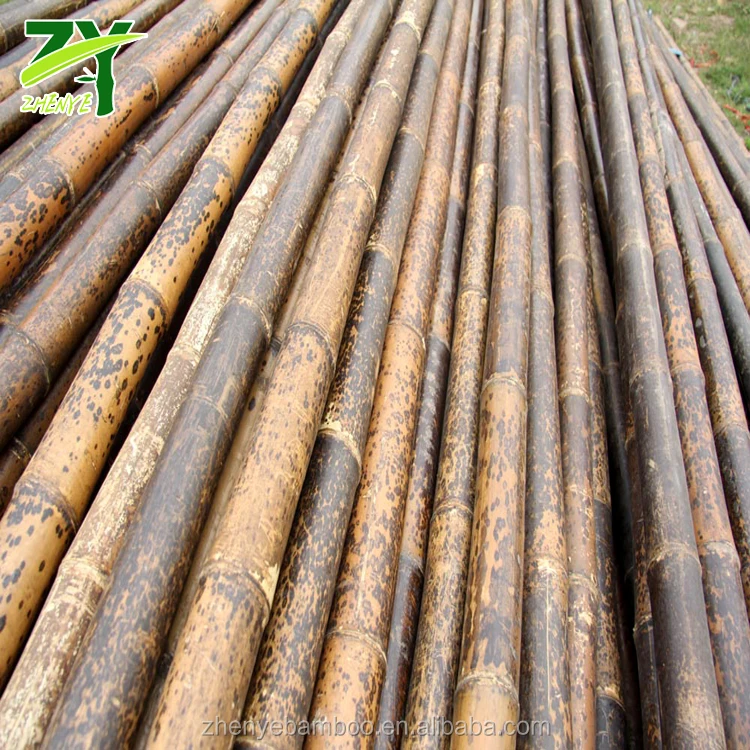 Цены по прейскуранту завода-изготовителя! ZY-1007 Редкие тигровые бамбуковые трости, зернистые бамбуковые трости большого диаметра, пятнистые бамбуковые трости большого диаметра