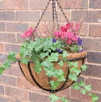 
12/14 inch hot selling hanging basket half round hanging basket flower hanging basket with coco and chain 