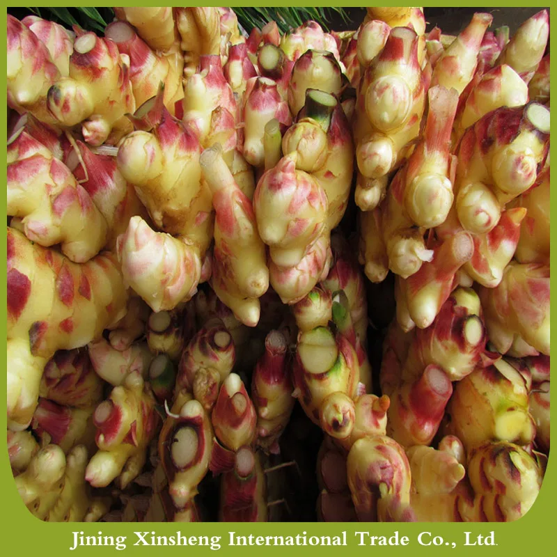 
Fresh ginger specification 