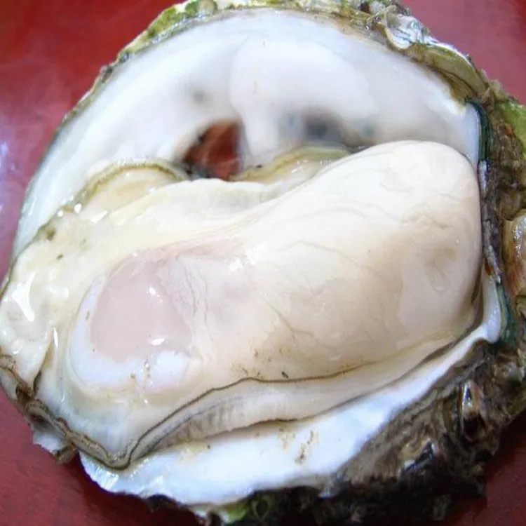 
Sexual enhancing Oyster meat powder 