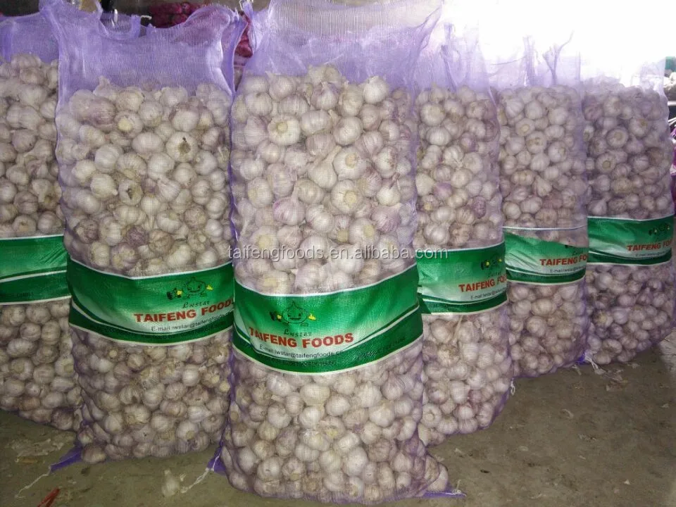 China fresh garlic 2021 CROP