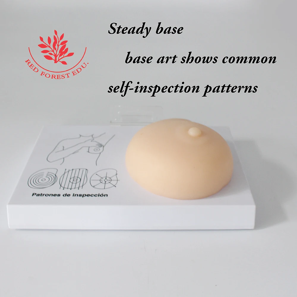 Breast Examination Simulator Milk Guidance Advanced Breast Nursing Practice Model Female Breast Model