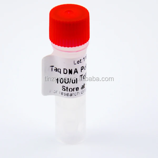 
high-sensitivity easy Taq DNA Polymerase in bulk 10U/ul of High Fidelity 