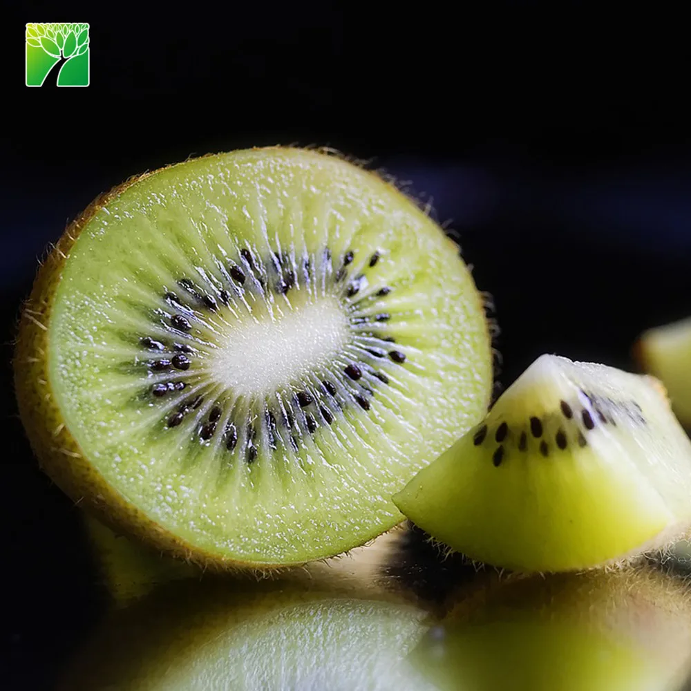 
Frequent watering requirements actinidia chinensis sapling kiwi fruit plant seedlings from China 
