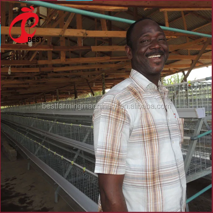 Automatic chicken feeding system