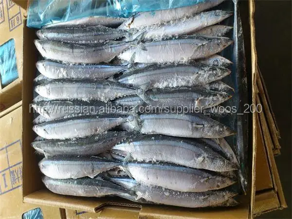 Новый морепродукты замороженные сайры рыбы для продажи