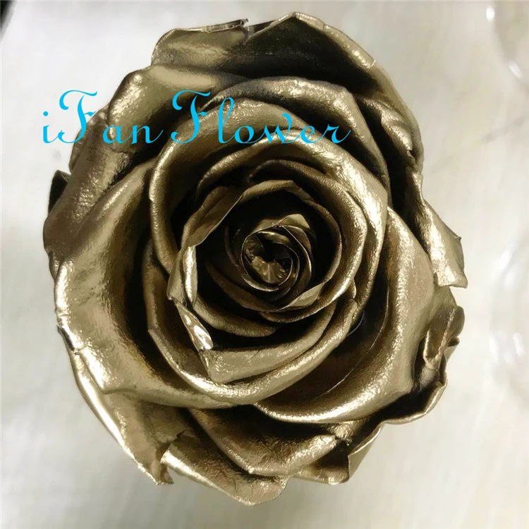 iFan Flower Japan factory preserved rose flower