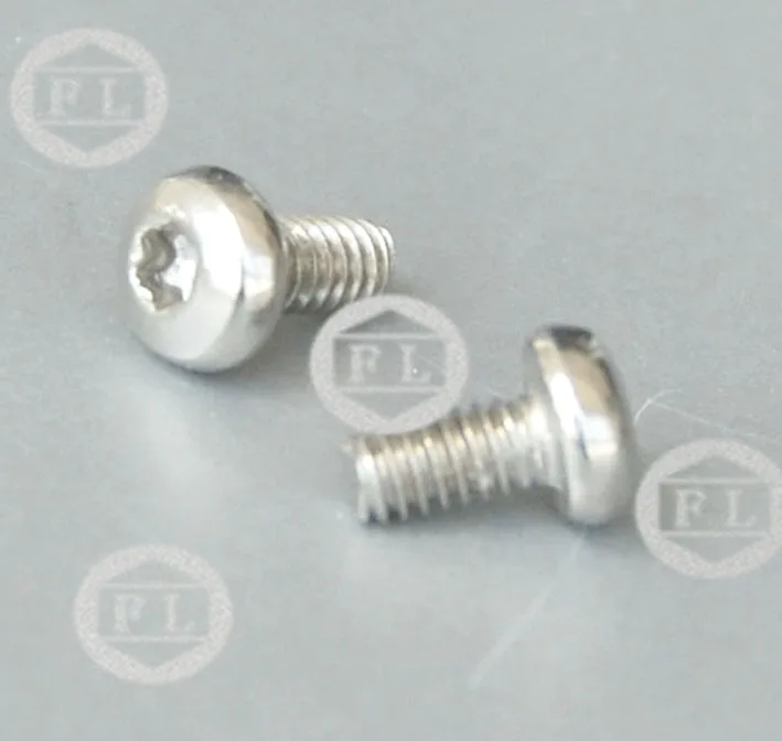 SS304/316 pan head torx screws