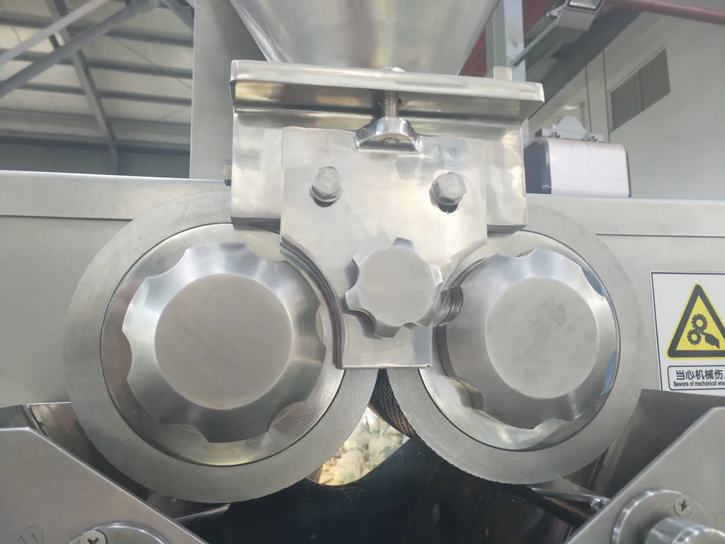Dry  Powder  granulator pharmaceutical roller compactor