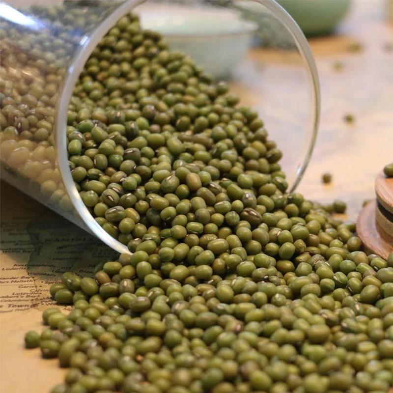 
High Sprouting Rate Green Moong Dal Sprouts Gram Seeds Moong Beans 