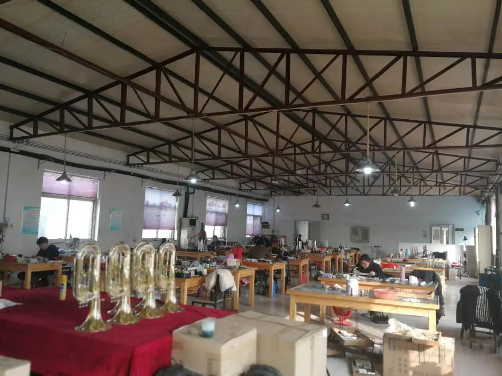 SECE001 Chinese famous  electric cello of great quality