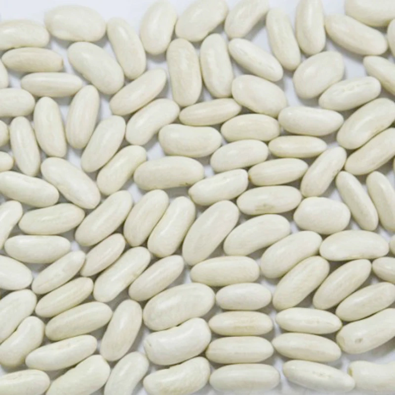 Dry Non-GMO alubia white kidney beans for sale