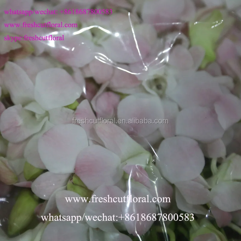 Вы можете купить оптом цветок орхидеи и красивые розы для свадебного букета