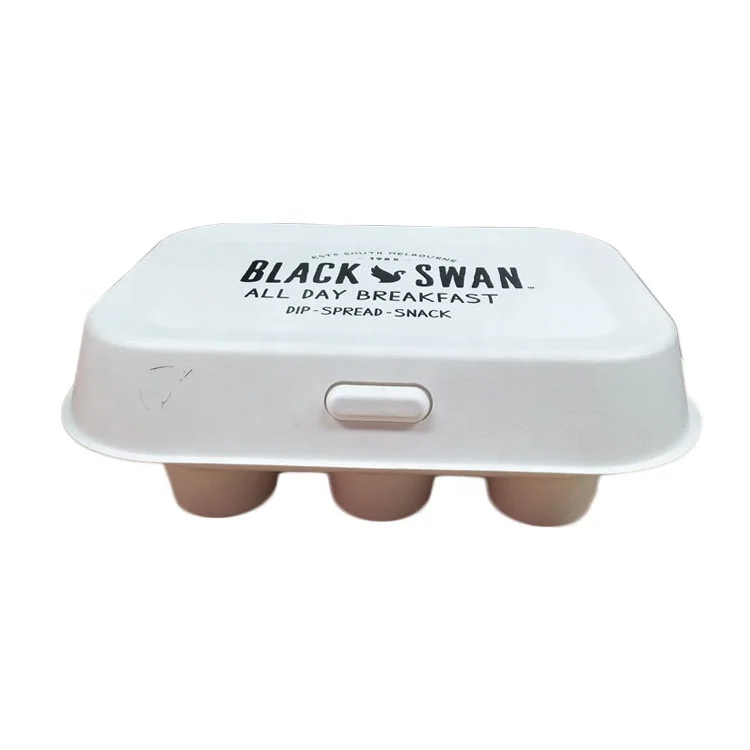 Custom biodegradable paper pulp molded packaging box with print