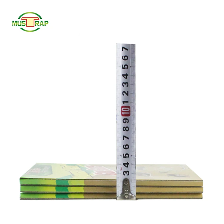 Hot Sale Easy Set Strong Viscous Paper Board Rat Rraps Cheap Mouse trap