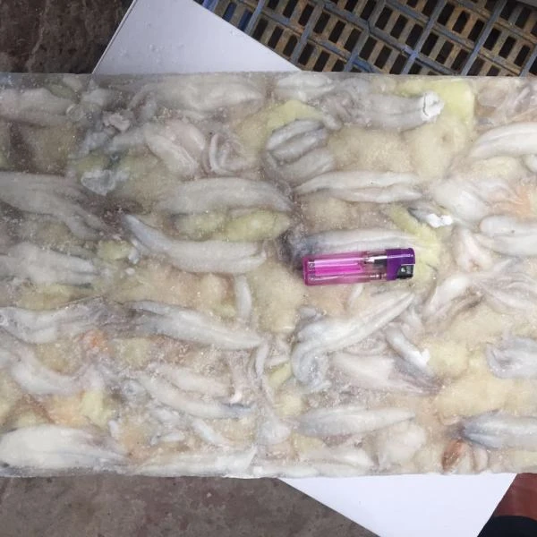 Замороженная Икра кальмара/яйцо BQF