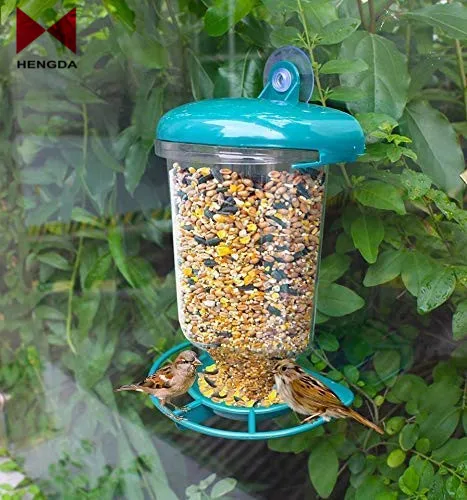 Wild Bird Clear Window Seed Nut Peanut Feeder With Hanging Suction Cup And Feed Tray Easy Install All Year Round Bird Feeding