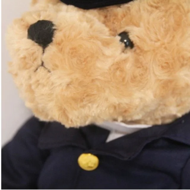 Dropshipping Pilot Teddy Bear Plush Toy Cute Captain Bear Doll Stuffed Animal Toys Birthday Gift Kids Toy Baby Doll for Children