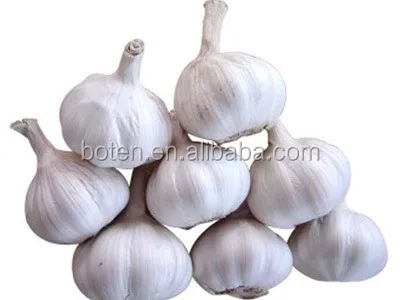 
China Best Garlic Oil Price from Boten 