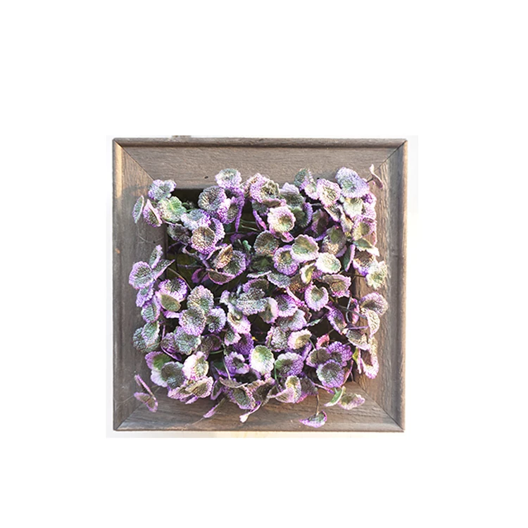 Fashion design home decor decorative succulent plant hanging wall photo plant plastic frame