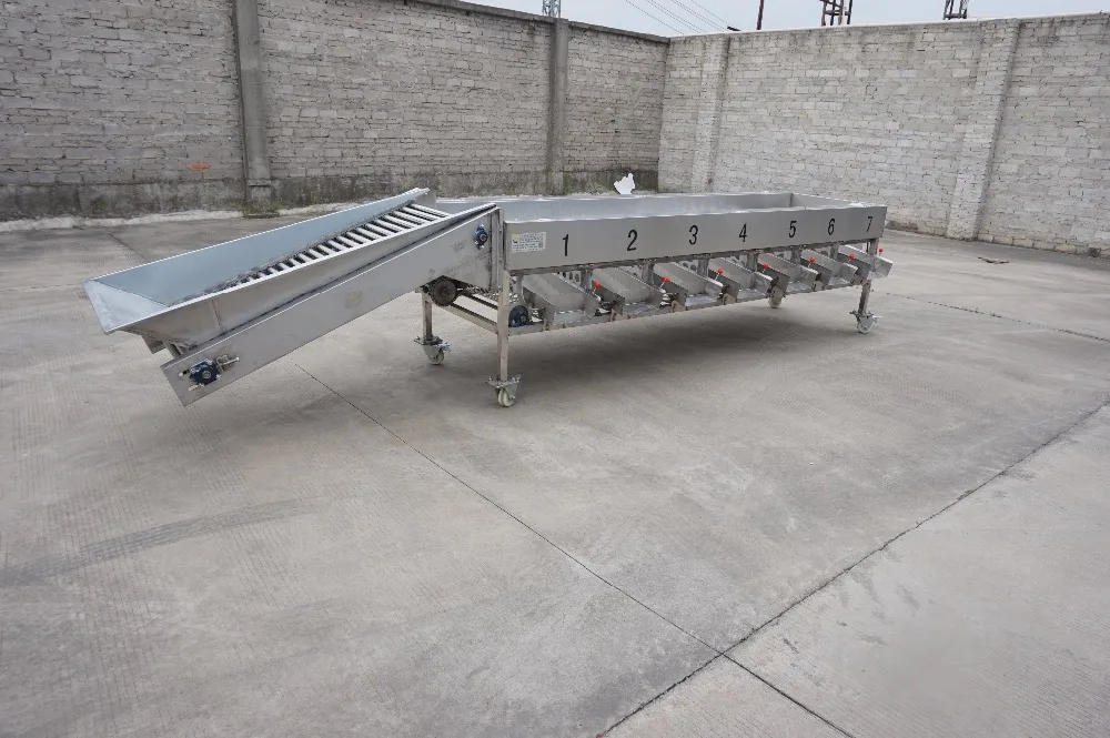 Fruit vegetable sorting machine/potato lemon orange sorter machine for sale