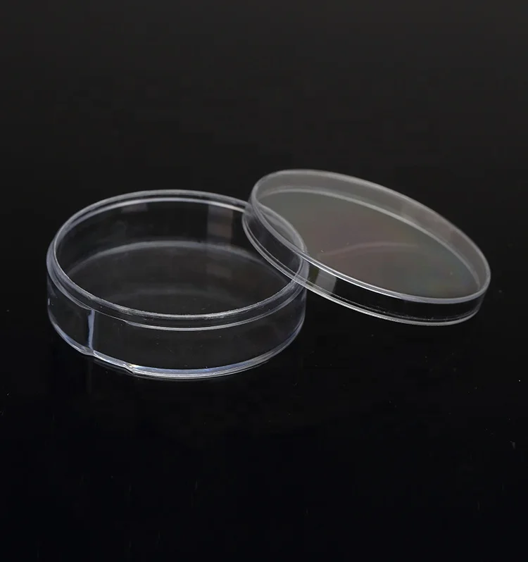 Round Clear Plastic Money Box Coin Storage Container for Coins