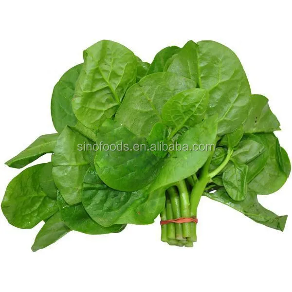 
Malabar spinach seeds supplier 