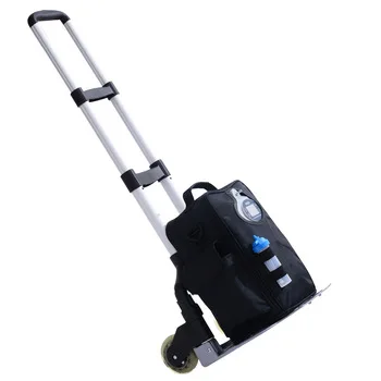 
Lovego 4 Hours Battery Life 12V Electric Portable Oxygen Concentrator LG102P with Shoulder Bag 