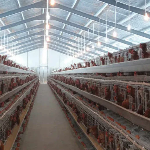 Prefabricated steel structure poultry breeder chicken house design drawing