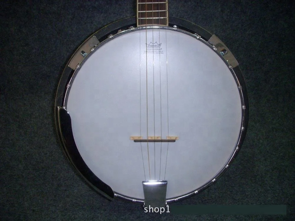 Weifang Rebon 5 string  banjo