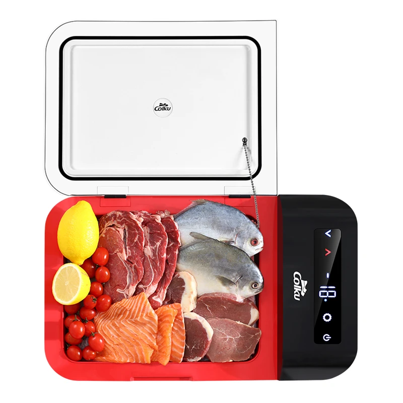 DC 12V/24V Outdoor Dual Temperature Zone Mini Refrigerator Compressor Portable Car Fridge