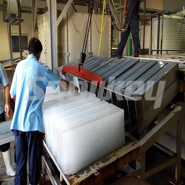 
Snowkey 10 ton Containerized Brine Block Ice Maker Machine for Ghana 