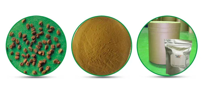 HACCP China supplier hot sale 20% 4-hydroxy isoleucine Common Fenugreek Seed, high quality trigonella foenum-graecum extract