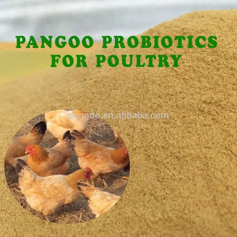 
Chicken weight gain-Probiotics for Broilers 