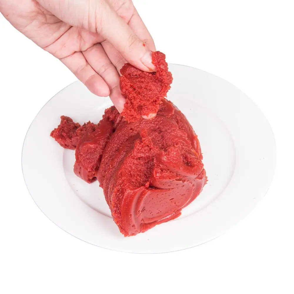 Factory direct canned tomato paste 2200g for Nigeria market