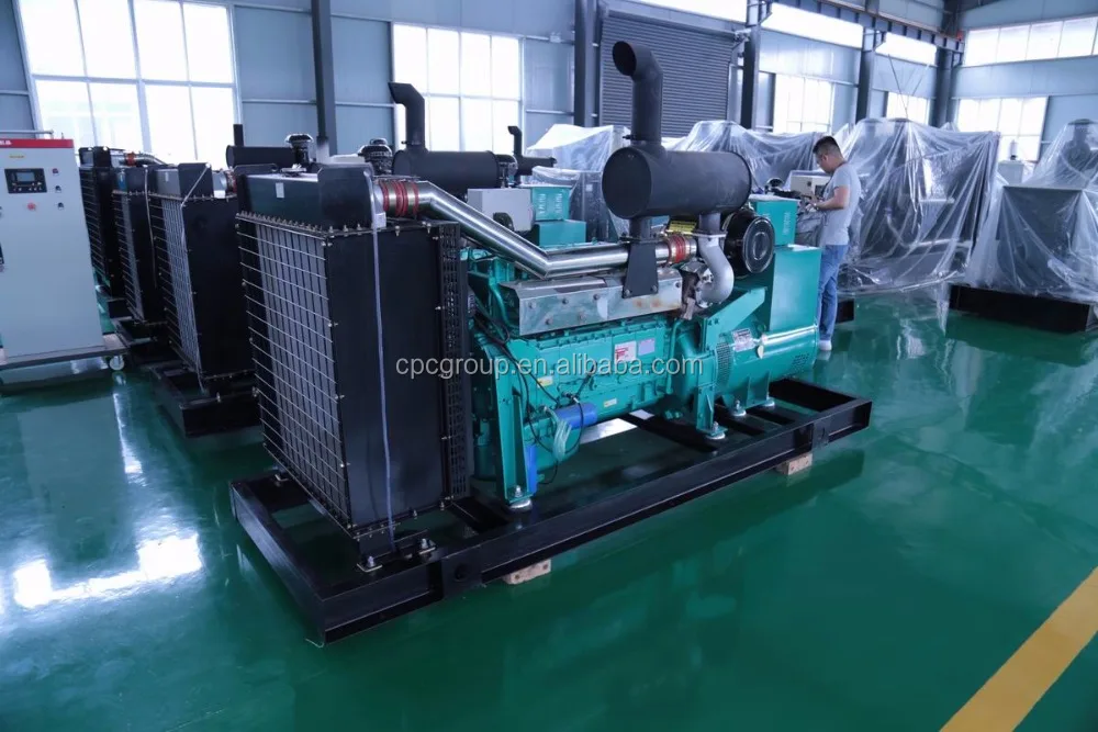 250Kva Weifang CP machinery cheap top quality 200Kw diesel generator made in China