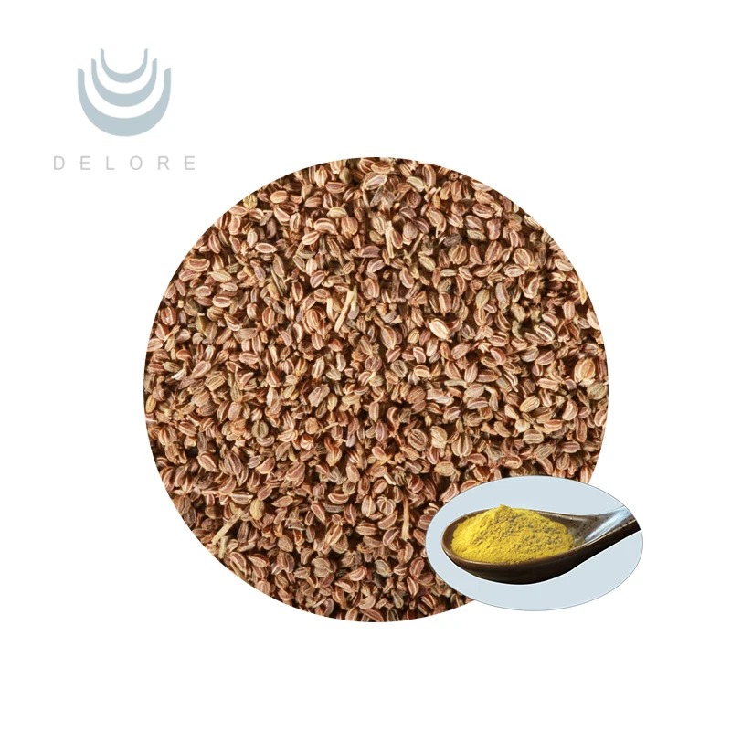 GMP Factory Supply Celery Seed Extract Apigenin Powder