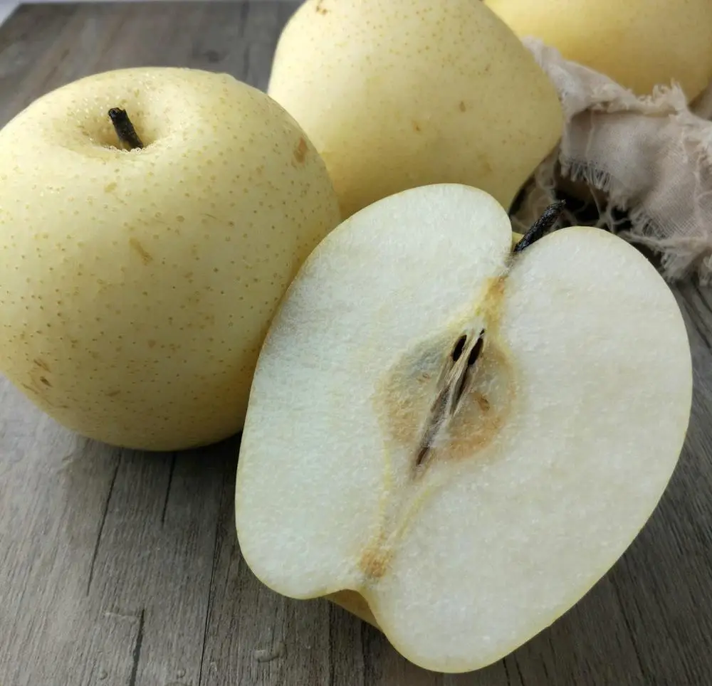 
china crispy golden pear 