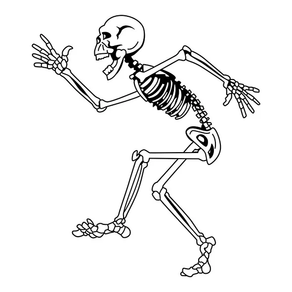 Picture Conversion Cdr Vector High-quality Coreldraw Graphic Hand Painting Adobe Illustrator Design Redraw Service