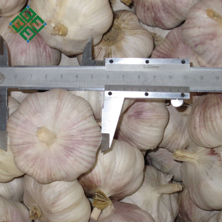 
Best quality bulk pure fresh normal white garlic 