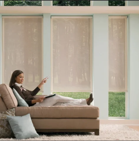 quality Quiet electric motors Roller Blind automatic curtain motor blinds