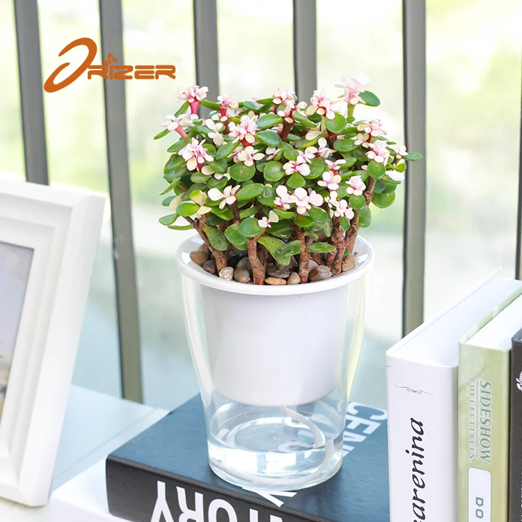 Factory direct sale self watering lazy round transparent ornamental plastic flowerpot