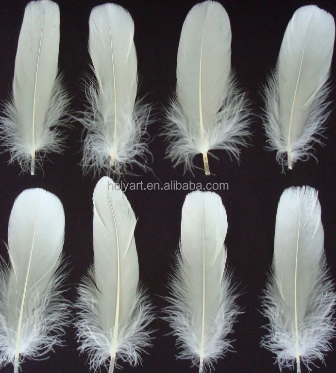 hot sale white turkey feathers for sale