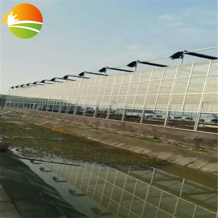 Cheap Tomato Vegetable Greenhouse