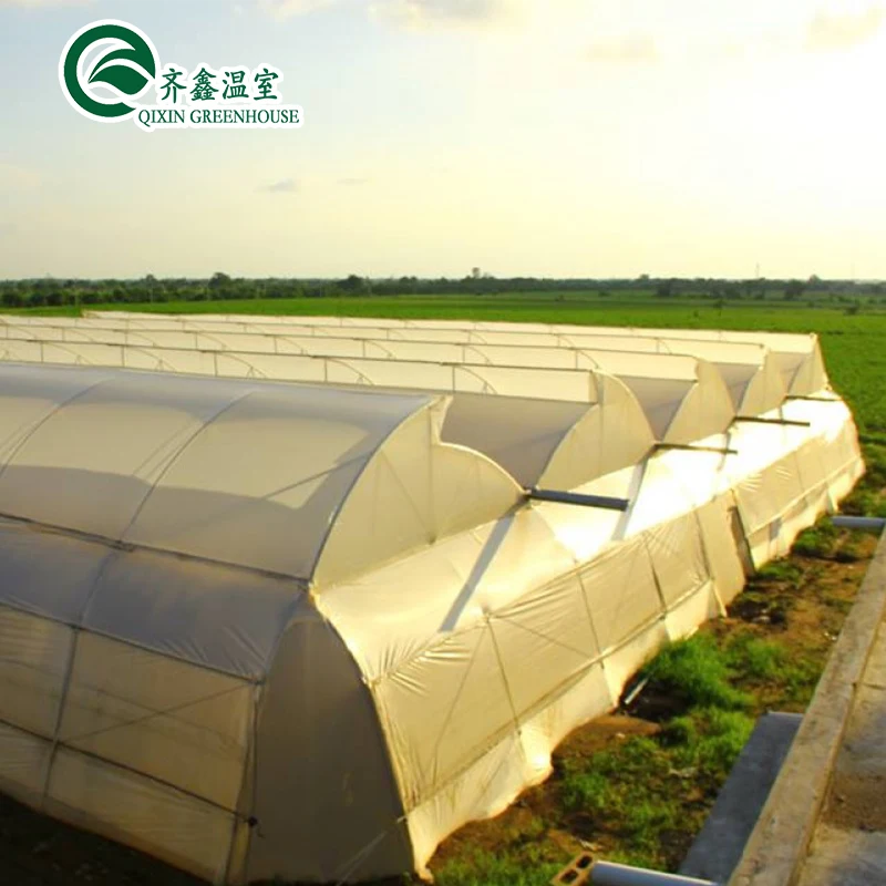 Aquaponics Film Greenhouse For Animals Growing Tent